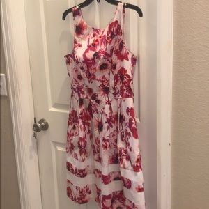 WHBM size 8 floral dress